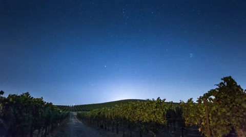 Beautiful stars in night sky moving over vineyard landscape. 4K UHD timelapse Stock Footage