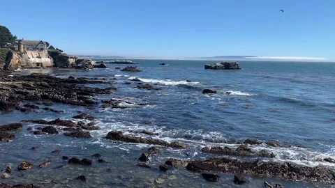 Beautiful static shot of the ocean with birds relaxing in the sun Stock Footage 163246904
