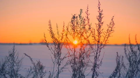 Beautiful static shot view evening horizon amazing frozen winter field landscape Vídeo Stock 101463771
