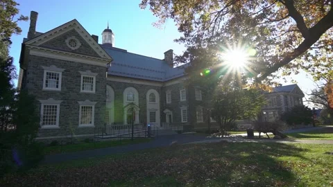 Beautiful stone building with white windows with sun peaking through trees Stock Footage 241826441