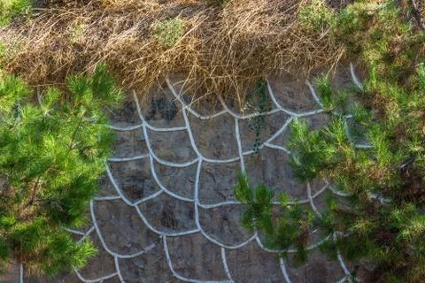 Beautiful stone texture. Stock Photos