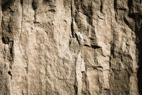 Beautiful stone texture. Stock Photos