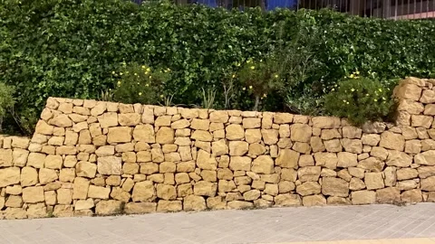 A Beautiful Stone Wall is Beautifully Complemented by Lush Greenery Under the Vídeo Stock 305245989