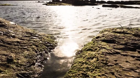 Beautiful stones on the beach Stock Footage 82424783