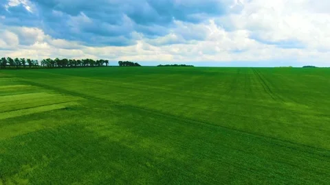 Beautiful storm clouds over green wheat field Stock Footage 155592185
