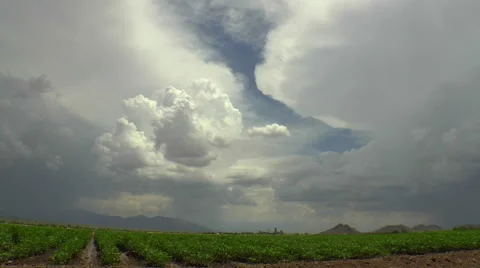 Beautiful Stormy Cloud Time Lapse Over Cotton Field Stock Footage 40223902