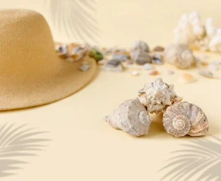 Beautiful straw hat with shells on the ocean coast. Nature summer background. Foto stock