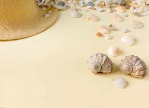 Beautiful straw hat with shells on the ocean coast. Nature summer background. Stock Photos