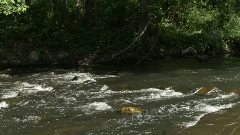 Beautiful Stream and Rapids Stock Footage 77285194