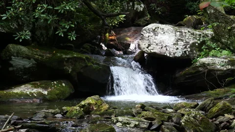 Beautiful stream cascades down mountain Stock Footage 316178911