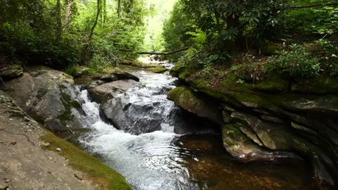 A beautiful stream deep in the Appalachian Mountains 스톡 동영상 281198645