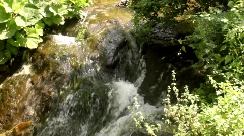 Beautiful Stream Stock Footage 37326049