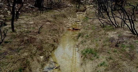 Beautiful stream in the forest Stock Footage 172244698