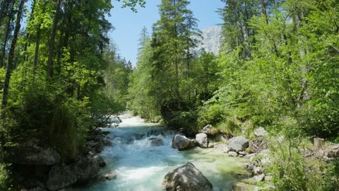 Beautiful stream in the forest with in the mountains in Germany Stock Footage 147128554