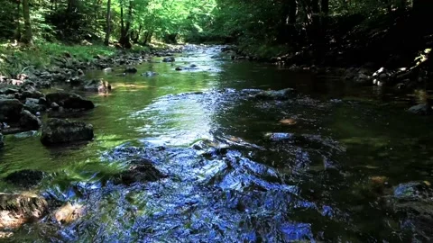 Beautiful stream in green forest.summer time . Video stock 135825160