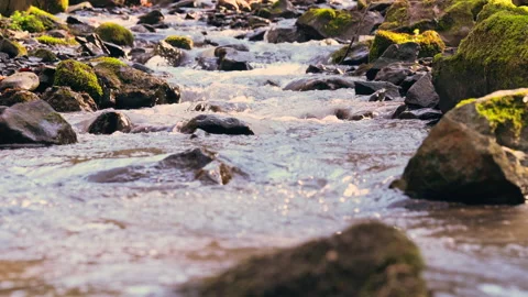 Beautiful stream in mountains area Stock Footage 134518211