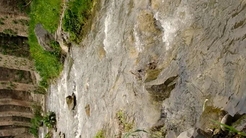 Beautiful stream in nature. Selective focus. Video stock 304217354