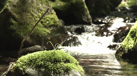 Beautiful stream with old rocks 2, color-graded Full HD (1920x1080) 스톡 동영상 39343517