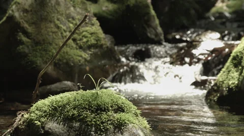 Beautiful stream with old rocks 2, non color-graded Full HD (1920x1080) Stock-Footage 39343786