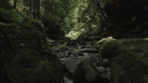 Beautiful stream, old rocks 4 non color-graded 4K (3840x2160) 動画素材 39337849