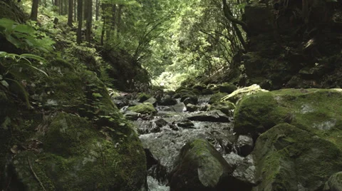 Beautiful stream, old rocks 4 color-gradedFull HD (1920x1080) 動画素材 39340117