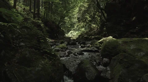 Beautiful stream with old rocks 5, non color-graded Full HD (1920x1080) Video stock 39343056