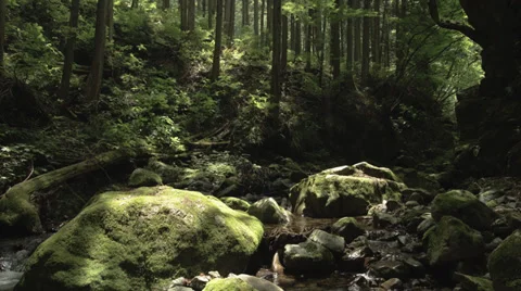 Beautiful stream with old rocks 6, color-graded 4K (3840x2160) Видео 39399178
