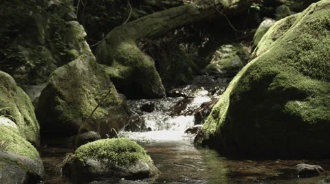 Beautiful stream with old rocks, non color-graded 4K (3840x2160) 動画素材 39341688