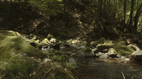 Beautiful stream with old rocks pan, color-graded 4K (3840x2160) Video stock 39336319