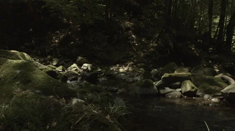 Beautiful stream with old rocks pan, non color-graded Full HD (1920x1080) Video stock 39339097