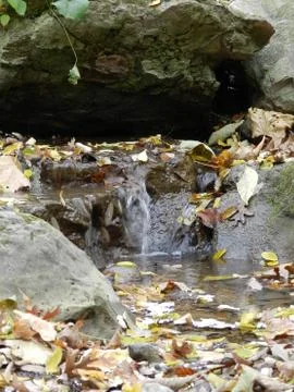 A Beautiful Stream Stock Photos