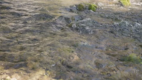 Beautiful stream with rapids in slow motion Stock Footage 343617613
