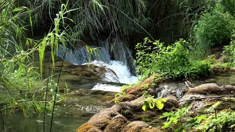 A beautiful stream slowly flows in the Krka National Park. Waterfalls Krka Stock Footage 122296213