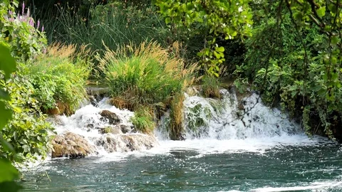 A beautiful stream slowly flows in the Krka National Park. Waterfalls Krka Stock Footage 122296836