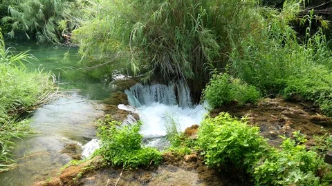 Beautiful stream slowly flows in the Krka National Park. Waterfalls Krka Stock Footage 122297217