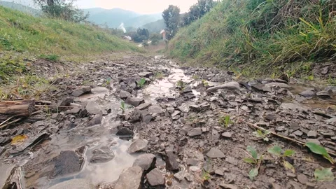 Beautiful stream of a small mountain river in the Carpathians Mountains Stock-Footage 163303133