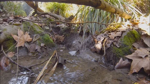 Beautiful stream under the sun  Video stock 103286184