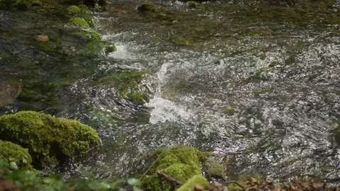 Beautiful stream water flow with mossy rocks slow motion Vidéo 341899485