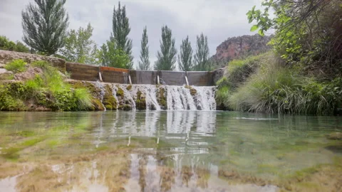 A beautiful stream of water flows through a lush green forest Stock Footage 277410269