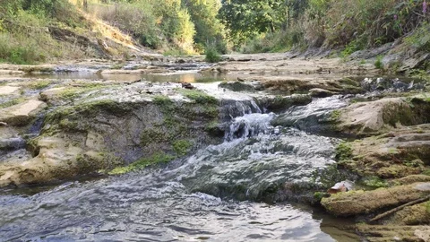 Beautiful streamlet flows among the forest. Stock Footage 114285778