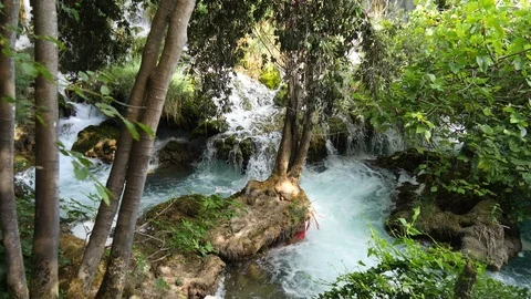 Beautiful streams slowly flows in Krka National Park between trees and grass Stock Footage 122311268