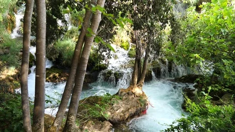 Beautiful streams slowly flows in Krka National Park between trees and grass 库存影片 122311275