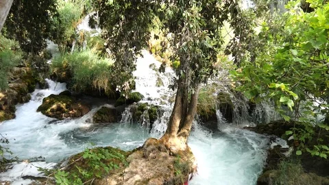Beautiful streams slowly flows in Krka National Park between trees and grass Stock Footage 122311481