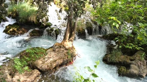 Beautiful streams slowly flows in Krka National Park between trees and grass 库存影片 122311846