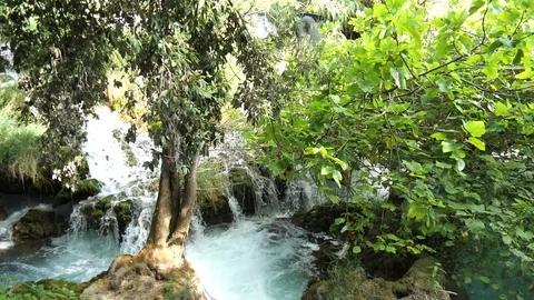 Beautiful streams slowly flows in Krka National Park between trees and grass 库存影片 122312006