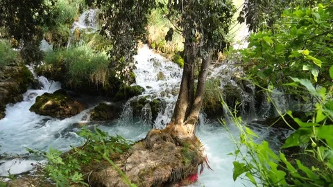 Beautiful streams slowly flows in Krka National Park between trees and grass 動画素材 122312732