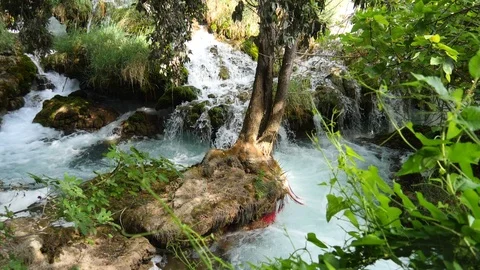 Beautiful streams slowly flows in Krka National Park between trees and grass Stock Footage 122312764