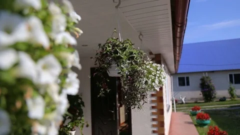 Beautiful street decorated with flowers Vidéo 123779236
