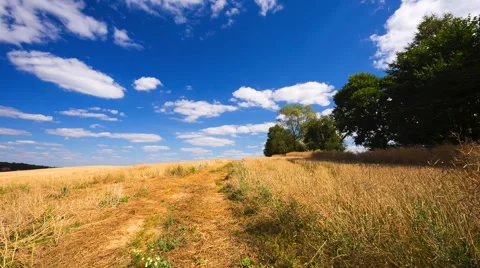 Beautiful stubble field under blue sky. 库存影片 58720531