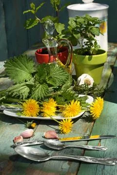 Beautiful , stylish herbal table Stock Photos